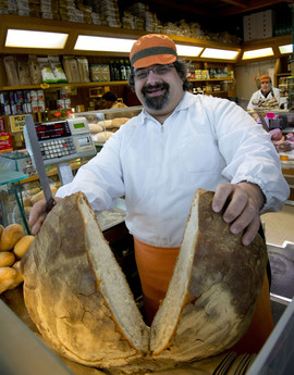 Vaccino Serafino